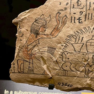 ACN ラムセス大王展 ファラオたちの黄金に投稿された画像（2025/11/26）