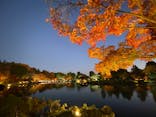 国営昭和記念公園 秋の夜散歩に投稿された画像（2025/11/27）
