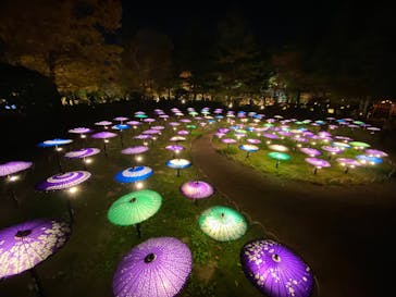 国営昭和記念公園 秋の夜散歩に投稿された画像（2025/11/26）