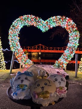 修善寺虹の郷に投稿された画像（2025/11/26）