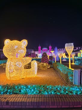 神戸イルミナージュに投稿された画像（2025/11/26）