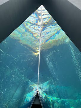 環境水族館アクアマリンふくしまに投稿された画像（2025/11/27）
