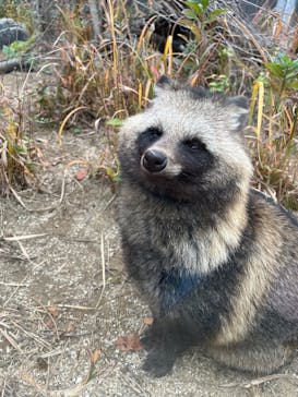 環境水族館アクアマリンふくしまに投稿された画像（2025/11/27）