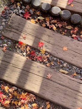 箱根ガラスの森美術館に投稿された画像（2025/11/27）