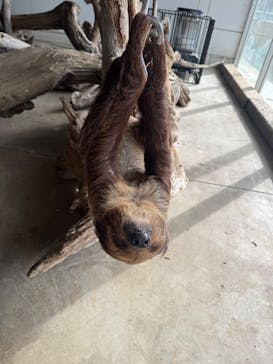 霞ケ浦 どうぶつとみんなのいえに投稿された画像（2025/11/27）