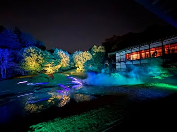 ZEN NIGHT WALK KAMAKURAに投稿された画像（2025/11/27）