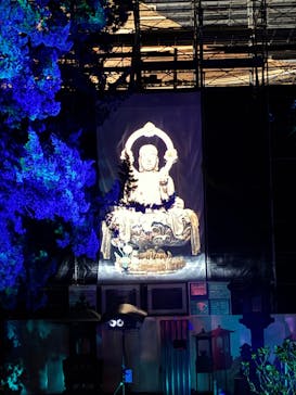 ZEN NIGHT WALK KAMAKURAに投稿された画像（2025/11/27）