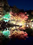 国営昭和記念公園 秋の夜散歩に投稿された画像（2025/11/27）