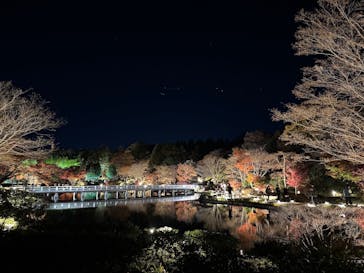 国営昭和記念公園 秋の夜散歩に投稿された画像（2025/11/27）