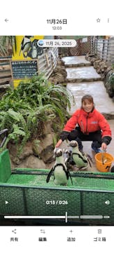 ゼロ距離水族館 伊勢シーパラダイスに投稿された画像（2025/11/27）