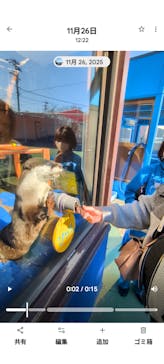ゼロ距離水族館 伊勢シーパラダイスに投稿された画像（2025/11/27）