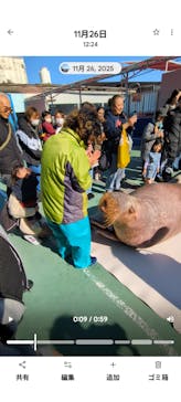 ゼロ距離水族館 伊勢シーパラダイスに投稿された画像（2025/11/27）