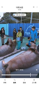 ゼロ距離水族館 伊勢シーパラダイスに投稿された画像（2025/11/27）