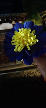 NAKED meets 二条城 2025 観月に投稿された画像（2025/11/27）