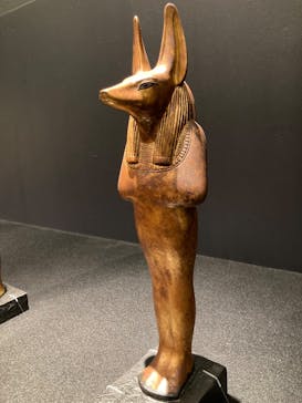 MYSTERY OF TUTANKHAMEN 体感型古代エジプト展に投稿された画像（2025/11/27）