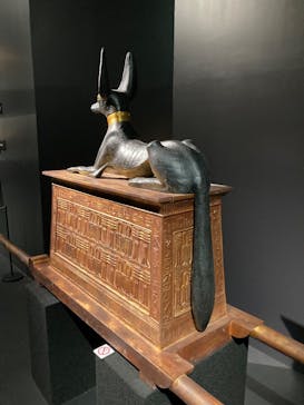 MYSTERY OF TUTANKHAMEN 体感型古代エジプト展に投稿された画像（2025/11/27）