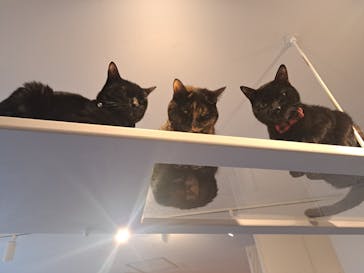 おさるの湯もみ処　おさ湯に投稿された画像（2025/11/27）