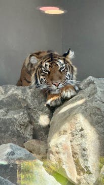 名古屋市東山動植物園に投稿された画像（2025/11/27）