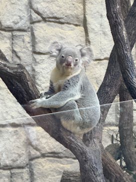 名古屋市東山動植物園に投稿された画像（2025/11/27）