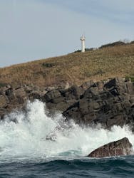 東尋坊観光遊覧船株式会社に投稿された画像（2025/11/27）