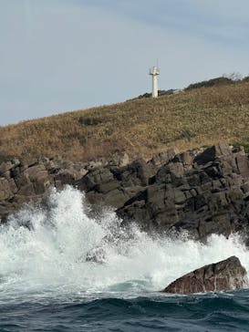 東尋坊観光遊覧船株式会社に投稿された画像（2025/11/27）