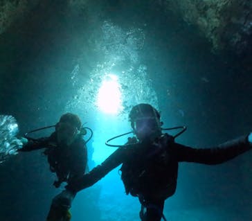 武藤潜水に投稿された画像（2025/11/27）