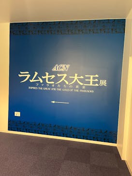 ACN ラムセス大王展 ファラオたちの黄金に投稿された画像（2025/11/27）