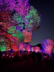 チームラボ ボタニカルガーデン 大阪に投稿された画像（2025/11/27）