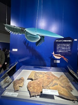 特別展「大絶滅展―生命史のビッグファイブ」に投稿された画像（2025/11/27）