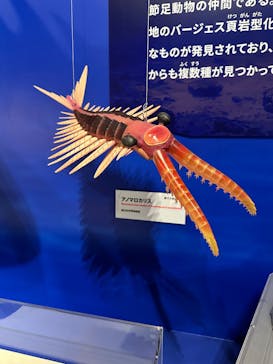特別展「大絶滅展―生命史のビッグファイブ」に投稿された画像（2025/11/27）