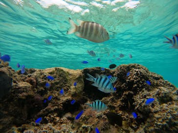 武藤潜水に投稿された画像（2025/11/27）