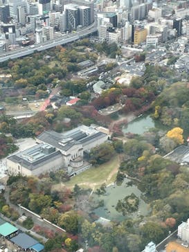 あべのハルカス美術館に投稿された画像（2025/11/27）