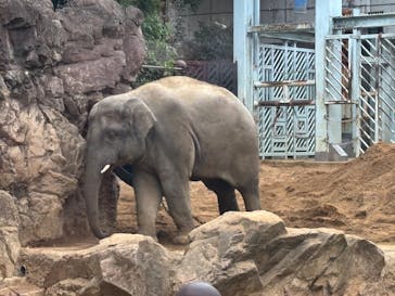 恩賜上野動物園に投稿された画像（2025/11/27）