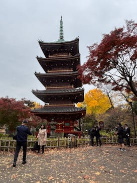 恩賜上野動物園に投稿された画像（2025/11/27）