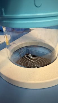 キッズランドUS mini 東京浅草店に投稿された画像（2025/11/27）