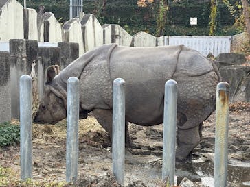 名古屋市東山動植物園に投稿された画像（2025/11/27）