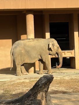 名古屋市東山動植物園に投稿された画像（2025/11/27）