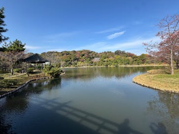 三溪園に投稿された画像（2025/11/27）