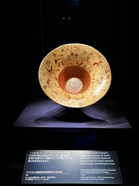 CREVIA マチュピチュ展／CREVIA MACHU PICCHU AND THE GOLDEN EMPIRES OF PERUに投稿された画像（2025/11/27）