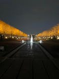 国営昭和記念公園 秋の夜散歩に投稿された画像（2025/11/27）