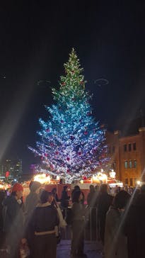 Christmas Market in 横浜赤レンガ倉庫 2025に投稿された画像（2025/11/27）