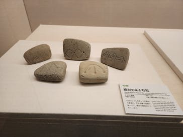 特別展　世界遺産　縄文に投稿された画像（2025/11/27）