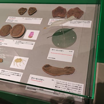 特別展「大絶滅展―生命史のビッグファイブ」に投稿された画像（2025/11/27）