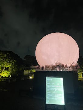 NAKED meets 二条城 2025 観月に投稿された画像（2025/11/27）