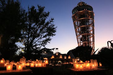 江の島シーキャンドルに投稿された画像（2025/11/27）