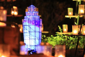 江の島シーキャンドルに投稿された画像（2025/11/27）