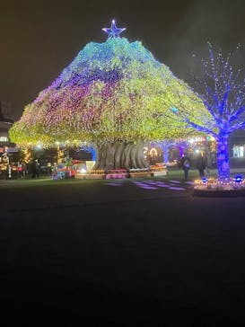 東京メガイルミに投稿された画像（2025/11/27）