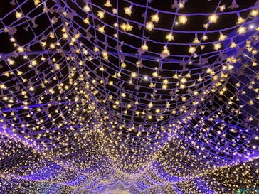 東京メガイルミに投稿された画像（2025/11/27）