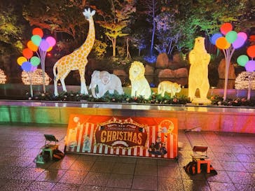 梅田スカイビル・空中庭園展望台に投稿された画像（2025/11/27）