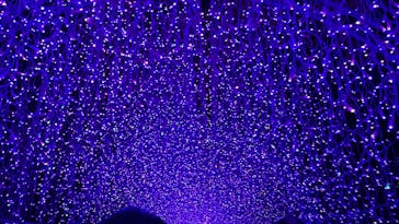 江の島シーキャンドルに投稿された画像（2025/11/27）